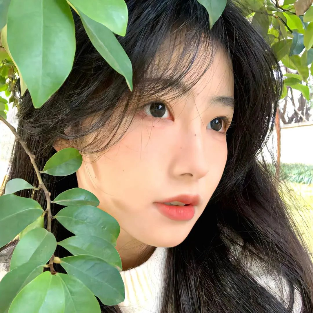 受辱记